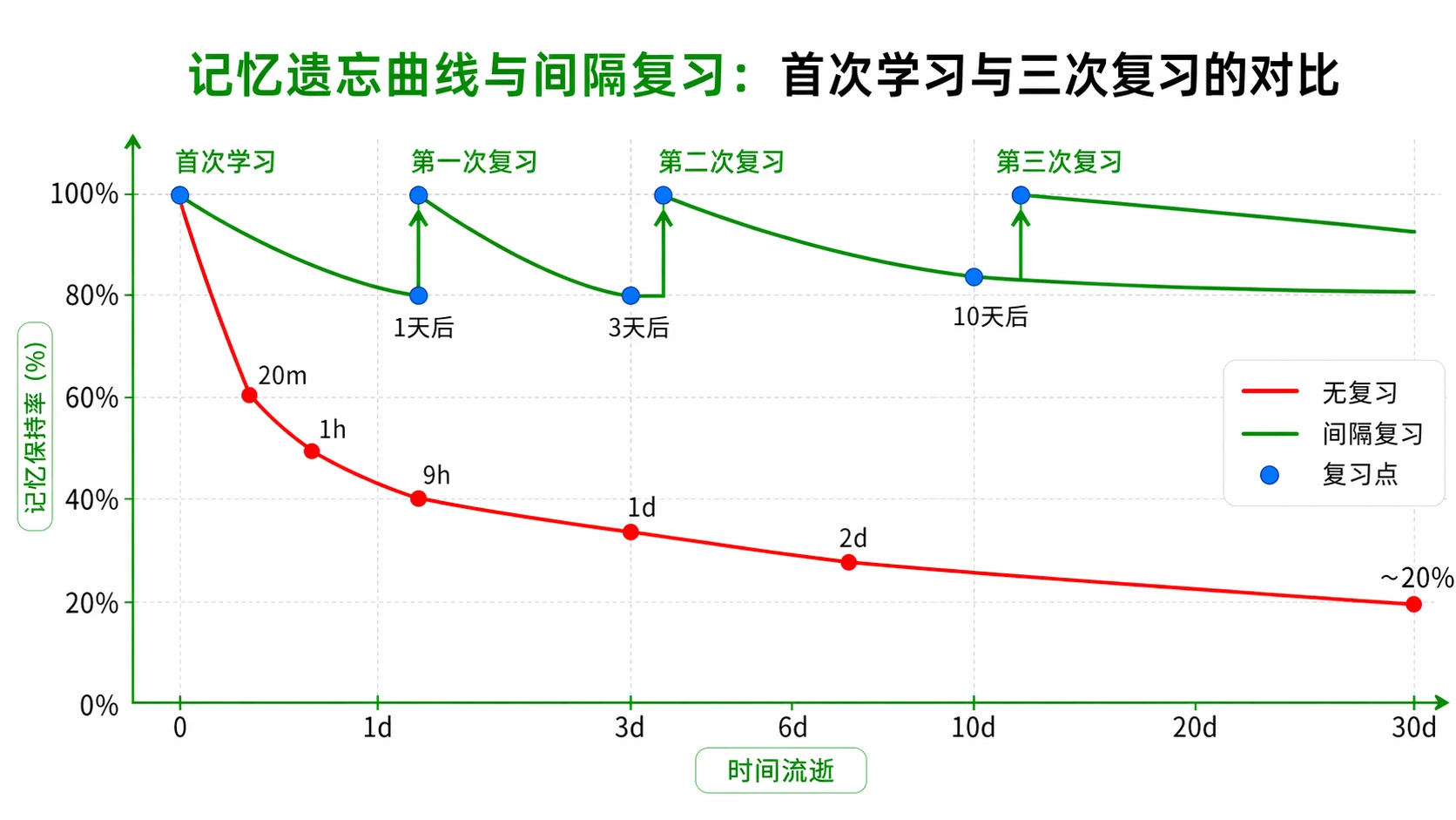 记忆遗忘曲线与间隔复习示意图